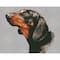 Diamond Dotz® Intermediate Noble Dachsie Diamond Painting Kit